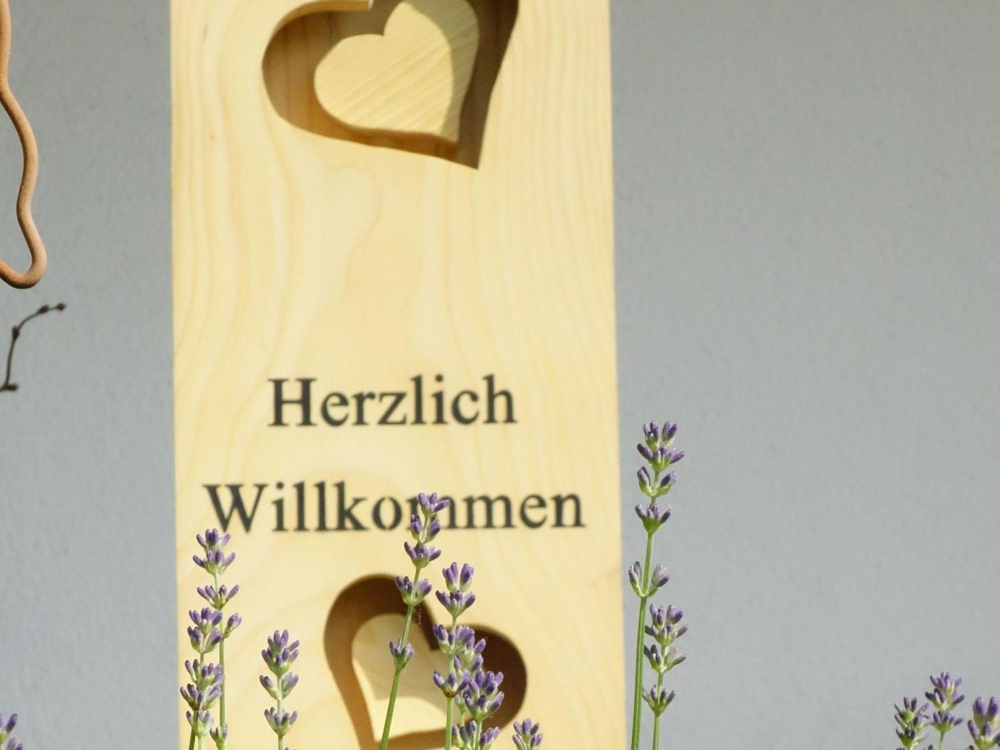 Ferienwohnungen Braun 塞尔巴赫 外观 照片